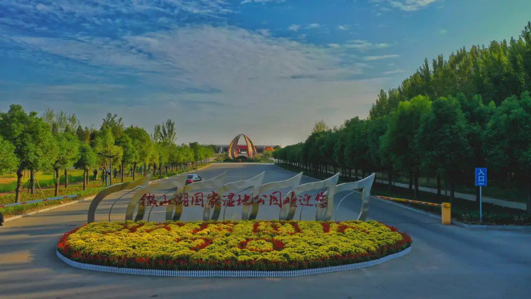 “云游”多彩濕地：濟(jì)寧微山湖濕地帶您領(lǐng)悟獨(dú)特的濕地之美！