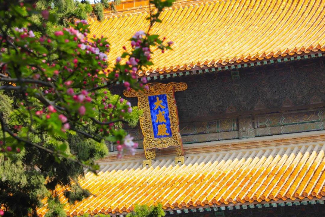 五一出游攻略 | 孔子文旅集團這些景區(qū)歡迎打卡！